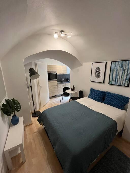 Franziskaner #6 Appartement Graz